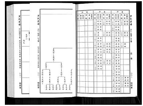 [下载][罗氏宗谱]湖北.罗氏家谱_十一.pdf