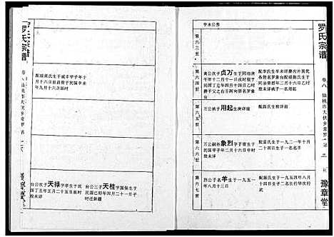 [下载][罗氏宗谱]湖北.罗氏家谱_十一.pdf