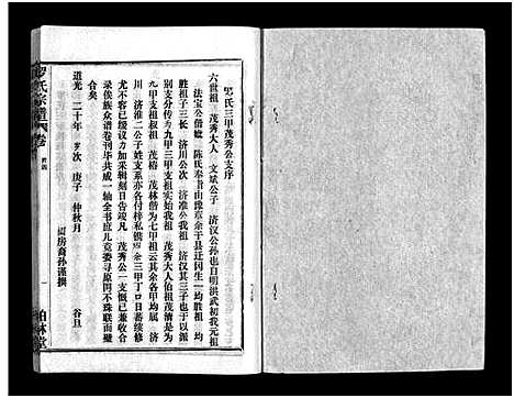 [下载][罗氏宗谱_36卷首4卷_罗氏宗谱]湖北.罗氏家谱_四.pdf