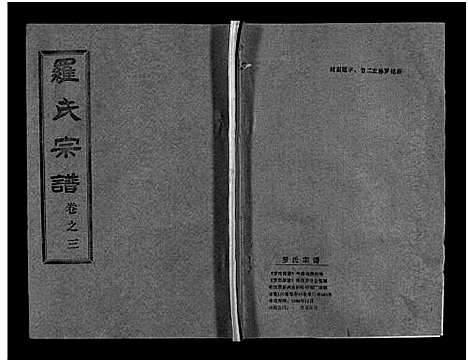 [下载][罗氏宗谱_36卷首4卷_罗氏宗谱]湖北.罗氏家谱_七.pdf