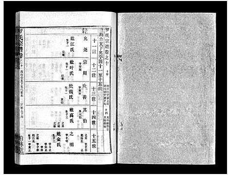 [下载][罗氏宗谱_36卷首4卷_罗氏宗谱]湖北.罗氏家谱_十四.pdf