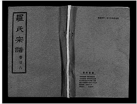 [下载][罗氏宗谱_36卷首4卷_罗氏宗谱]湖北.罗氏家谱_三十.pdf