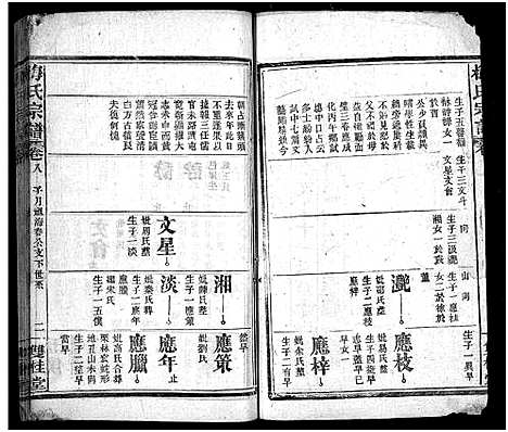 [下载][梅氏宗谱_10卷首1卷_梅氏六修宗谱]湖北.梅氏家谱_九.pdf