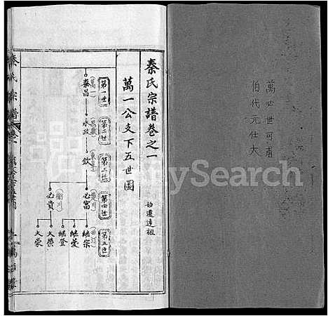 [下载][秦氏宗谱_12卷首2卷]湖北.秦氏家谱_十.pdf