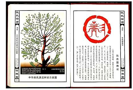 [下载][阮氏宗谱]湖北.阮氏家谱.pdf