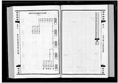 [下载][石氏宗谱_30卷_含首2卷]湖北.石氏家谱_十三.pdf