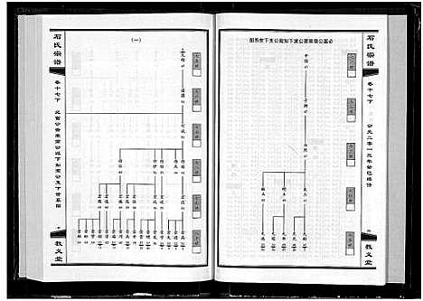 [下载][石氏宗谱_30卷_含首2卷]湖北.石氏家谱_十九.pdf