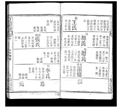 [下载][石氏宗谱_18卷首1卷]湖北.石氏家谱_十一.pdf