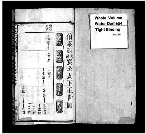 [下载][西陵宋氏续修宗谱_19卷首3卷_宋氏宗谱]湖北.西陵宋氏续修家谱_十三.pdf