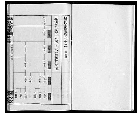 [下载][苏氏宗谱_20卷首3卷]湖北.苏氏家谱_十五.pdf