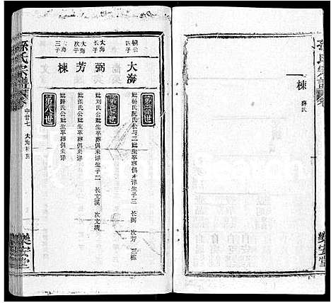 [下载][孙氏宗谱_各房分谱_首7卷]湖北.孙氏家谱_五十一.pdf