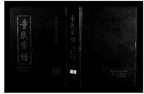 [下载][童氏宗谱]湖北.童氏家谱_九.pdf