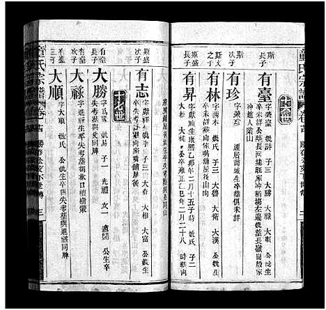 [下载][童氏宗谱_26卷_童氏壬午族谱_童氏宗谱]湖北.童氏家谱_十四.pdf