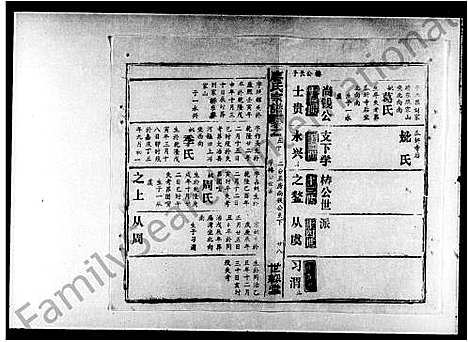 [下载][汪氏族谱_12卷首3卷]湖北.汪氏家谱_一.pdf