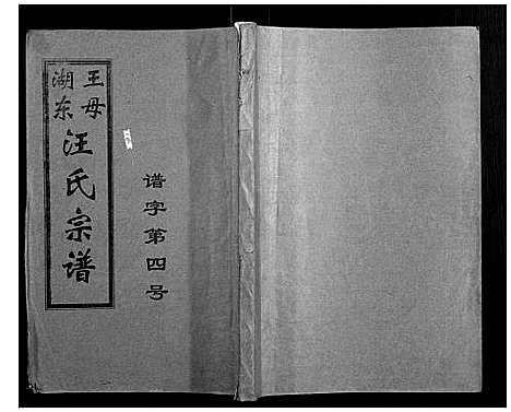 [下载][王母湖东汪氏宗谱_16卷首1卷]湖北.王母湖东汪氏家谱_二.pdf