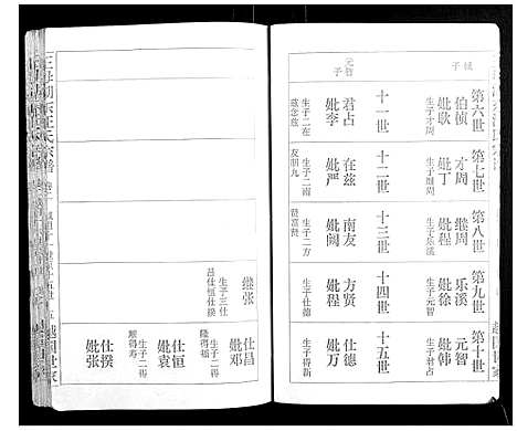 [下载][王母湖东汪氏宗谱_16卷首1卷]湖北.王母湖东汪氏家谱_二.pdf