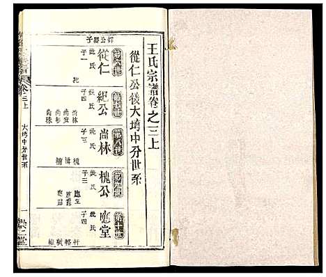 [下载][王氏族谱_9卷首2卷]湖北.王氏家谱.pdf