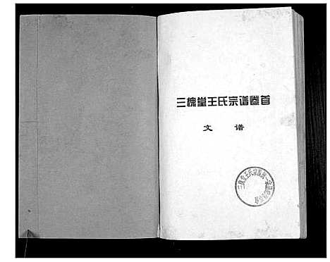 [下载][澴州王氏宗谱_13卷首1卷]湖北.澴州王氏家谱_一.pdf