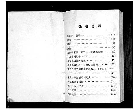 [下载][澴州王氏宗谱_13卷首1卷]湖北.澴州王氏家谱_四.pdf