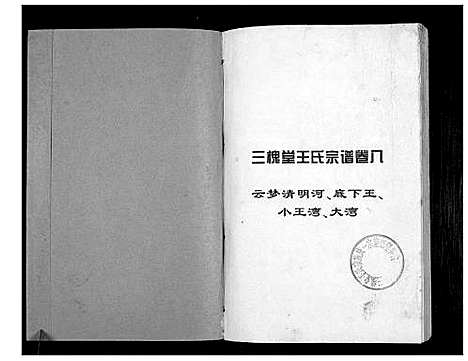 [下载][澴州王氏宗谱_13卷首1卷]湖北.澴州王氏家谱_八.pdf