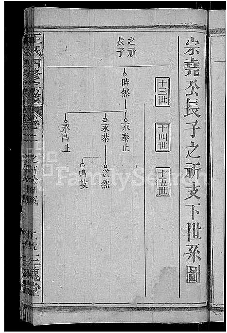 [下载][王氏四修宗谱_10卷首3卷_王氏宗谱_王氏族谱]湖北.王氏四修家谱_十一.pdf