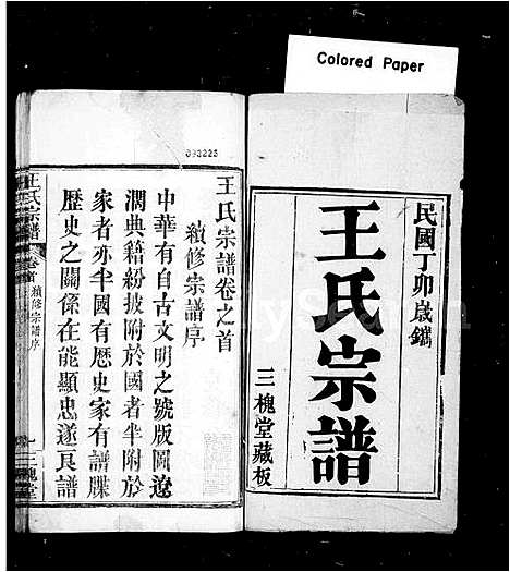 [下载][王氏宗谱]湖北.王氏家谱.pdf