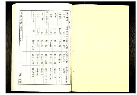 [下载][王氏宗谱]湖北.王氏家谱_二.pdf