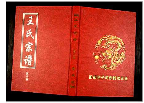 [下载][王氏宗谱]湖北.王氏家谱_九.pdf