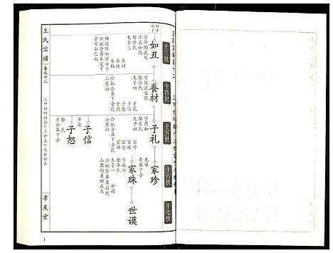 [下载][王氏宗谱]湖北.王氏家谱_十三.pdf