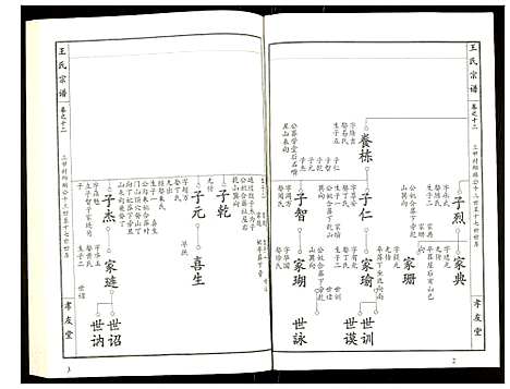 [下载][王氏宗谱]湖北.王氏家谱_十三.pdf