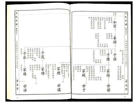 [下载][王氏宗谱]湖北.王氏家谱_十三.pdf