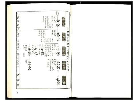 [下载][王氏宗谱]湖北.王氏家谱_十五.pdf