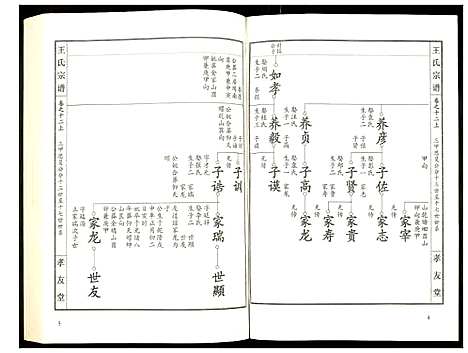 [下载][王氏宗谱]湖北.王氏家谱_十五.pdf