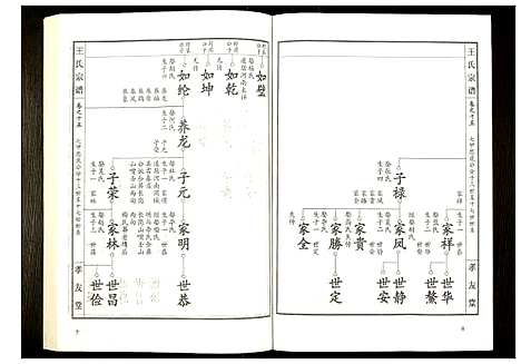 [下载][王氏宗谱]湖北.王氏家谱_十六.pdf