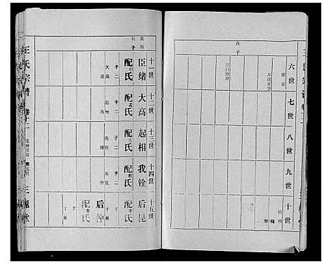 [下载][王氏宗谱]湖北.王氏家谱_十二.pdf