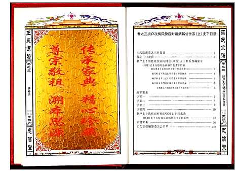 [下载][王氏宗谱]湖北.王氏家谱_三.pdf