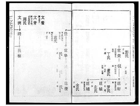 [下载][王氏宗谱]湖北.王氏家谱_二十.pdf