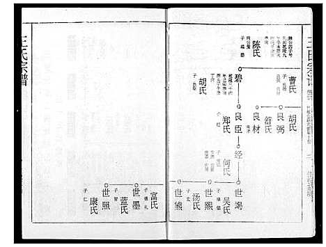 [下载][王氏宗谱]湖北.王氏家谱_二十.pdf