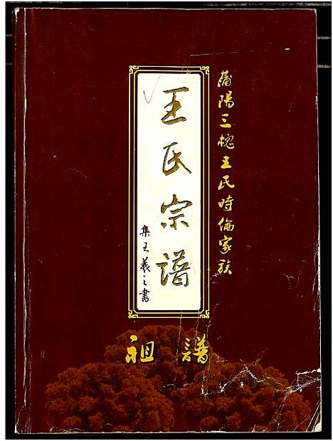 [下载][王氏宗谱]湖北.王氏家谱_一.pdf