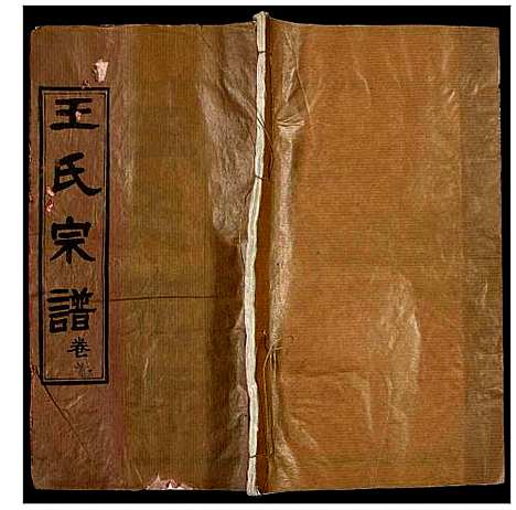 [下载][王氏宗谱]湖北.王氏家谱_一.pdf