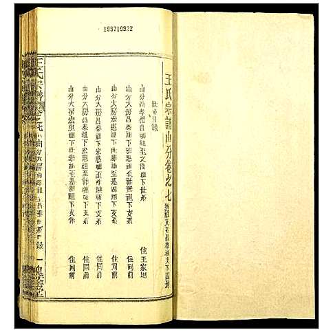 [下载][王氏宗谱]湖北.王氏家谱_十二.pdf