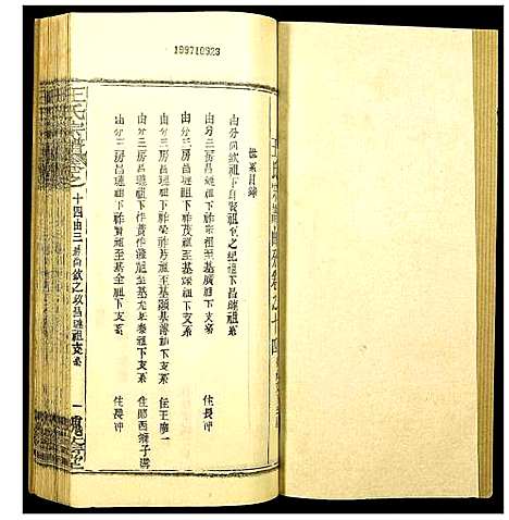 [下载][王氏宗谱]湖北.王氏家谱_十九.pdf