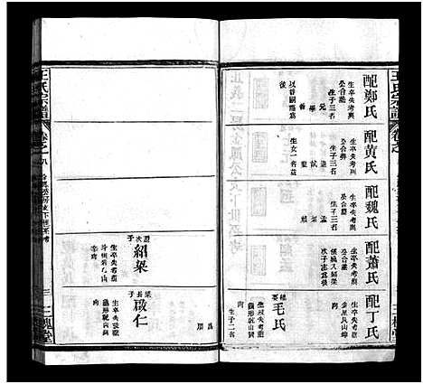 [下载][王氏宗谱_10卷首2卷]湖北.王氏家谱_九.pdf