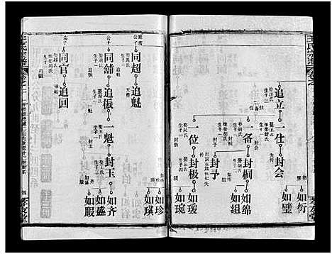 [下载][王氏宗谱_28卷首1卷_黄冈赤膊龙王氏宗谱]湖北.王氏家谱_三.pdf