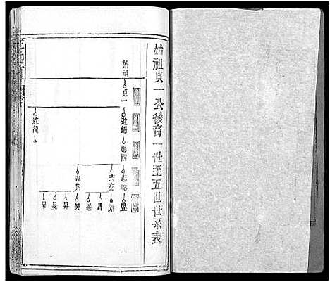 [下载][王氏宗谱_31卷及卷首2卷_卷表7卷]湖北.王氏家谱_四.pdf