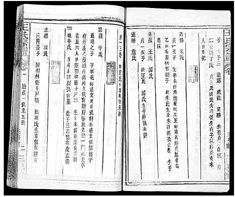 [下载][王氏宗谱_31卷及卷首2卷_卷表7卷]湖北.王氏家谱_五.pdf