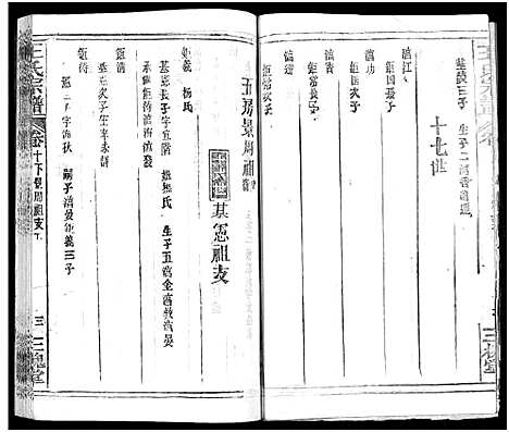 [下载][王氏宗谱_31卷及卷首2卷_卷表7卷]湖北.王氏家谱_十五.pdf