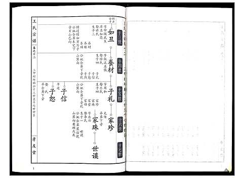 [下载][王氏宗谱_15卷首1卷]湖北.王氏家谱_十三.pdf