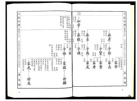 [下载][王氏宗谱_15卷首1卷]湖北.王氏家谱_十五.pdf