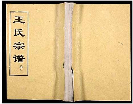 [下载][王氏支谱_16卷_王氏宗谱_王氏宗谱]湖北.王氏支谱_八.pdf